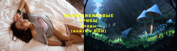 прущая мука Абаза