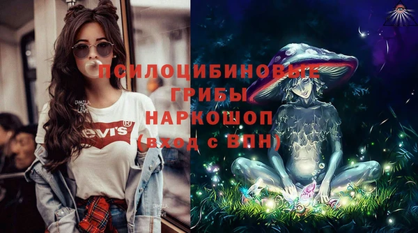 скорость Гусев