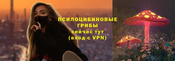 прущая мука Абаза